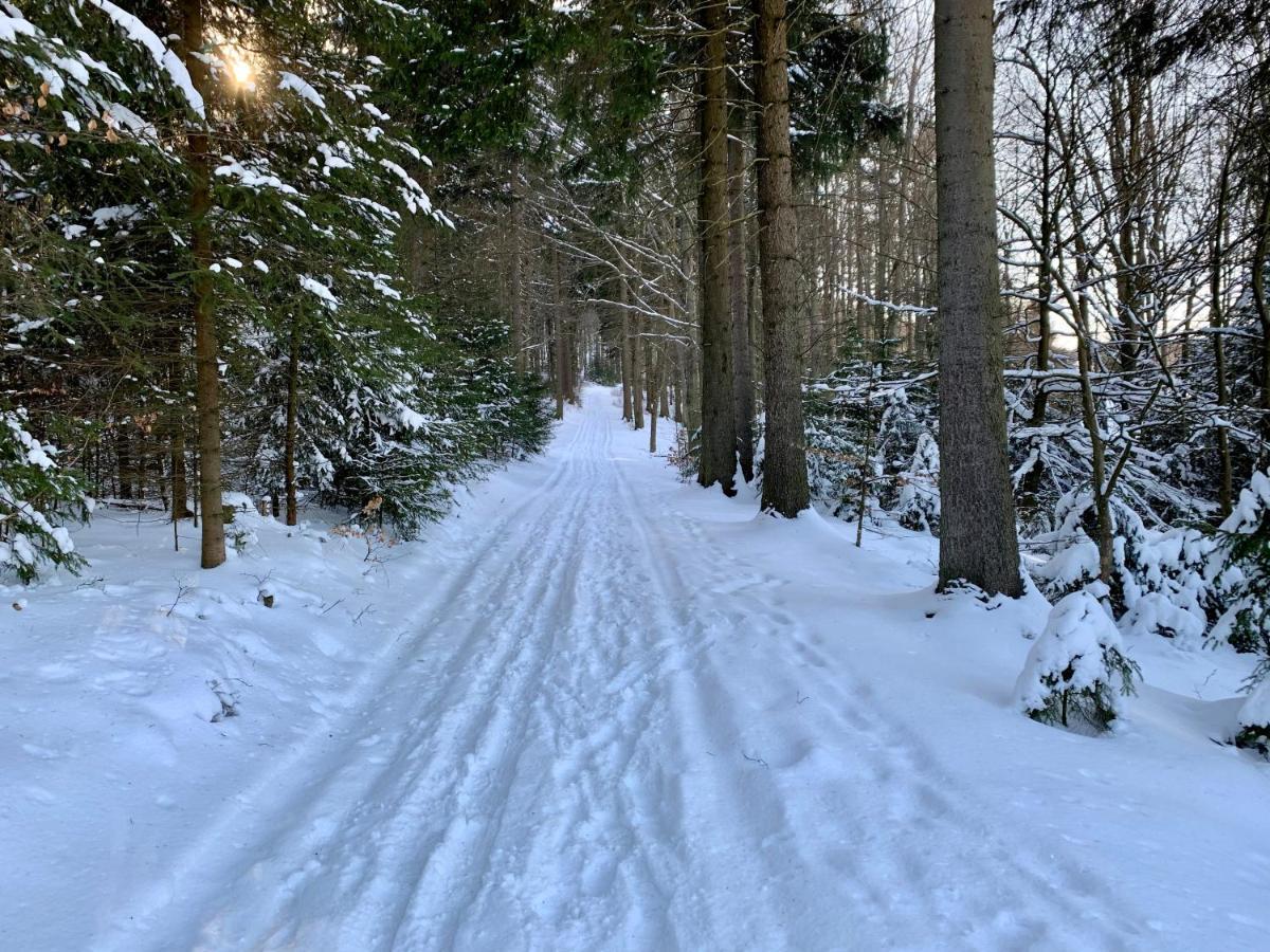 Haus Donnerberg Rehefeld Appartement Altenberg Buitenkant foto