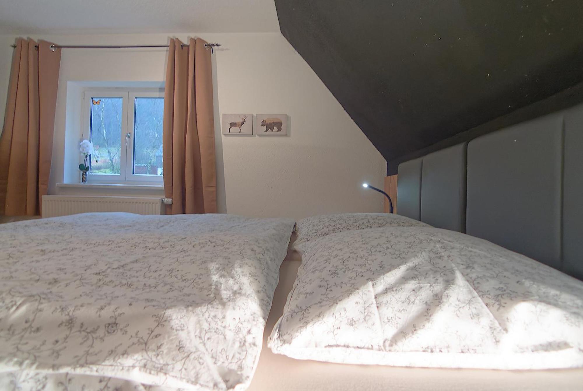 Haus Donnerberg Rehefeld Appartement Altenberg Buitenkant foto